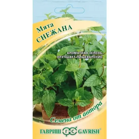 Семена зелени Гавриш мята Снежана