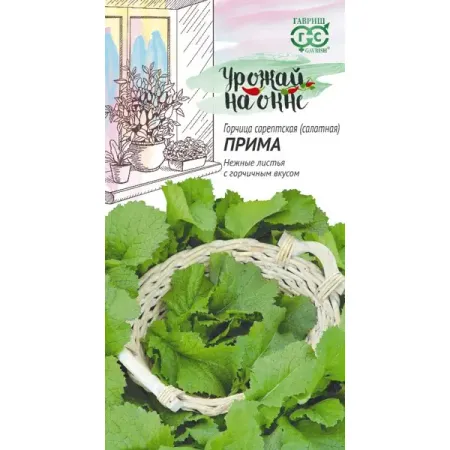 Семена овощей Гавриш Урожай на окне горчица листовая Прима