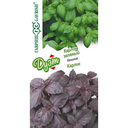 Семена зелени Гавриш базилик Карлик зеленый