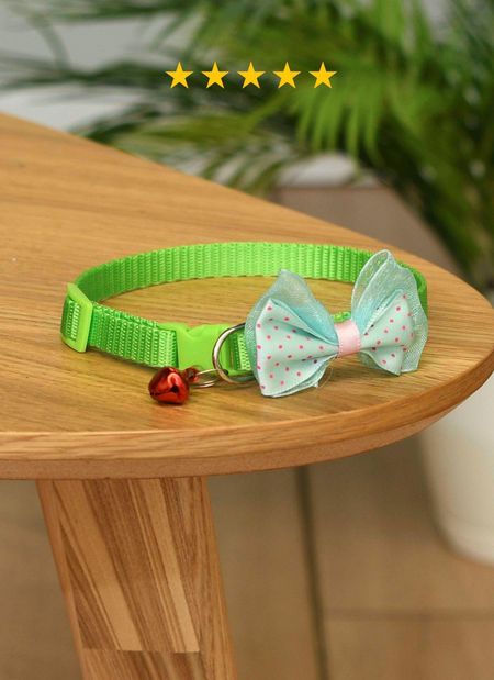 Ошейники, шлейки PETSHOP Ошейник для кошек и собак малых пород (19-30 см)