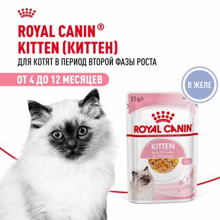 Консервы, паучи Royal Canin паучи Для котят в период второй фазы роста в возрасте до 12 месяцев, кусочки в желе, Kitten Jelly (28 шт)