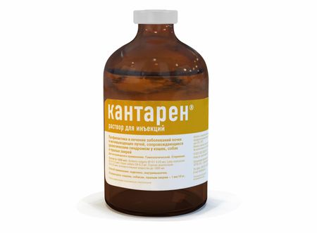 Лекарственные препараты Хелвет Кантарен при заболевании почек и мочевыводящих путей, 100 мл (100 мл) евгения михайлова синдром дездемоны