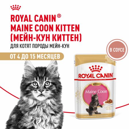 Консервы, паучи Royal Canin паучи Для котят породы Мэйн Кун в возрасте до 15 месяцев, мелкие кусочки в соусе, Maine Coon Kitten (28 шт)