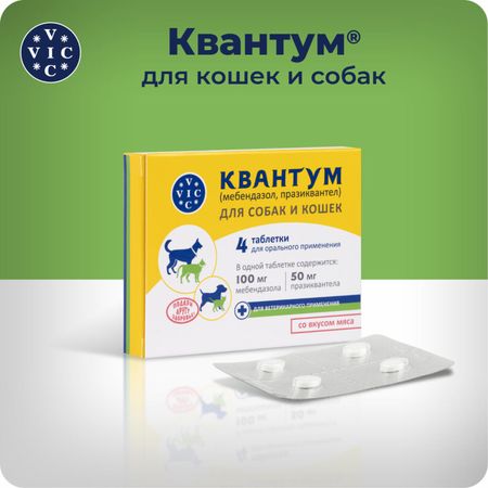 От глистов Doctor Vic Квантум для собак и кошек, 4 табл (4 таб.) грядущее прошлое три эссе о рождении гибели и надежде