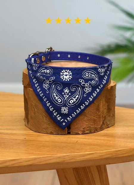 Ошейники, шлейки PETSHOP Ошейник для кошек и собак (32 см)