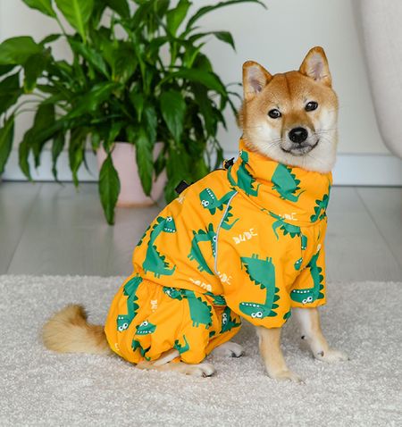 Одежда Tappi одежда Дождевик 