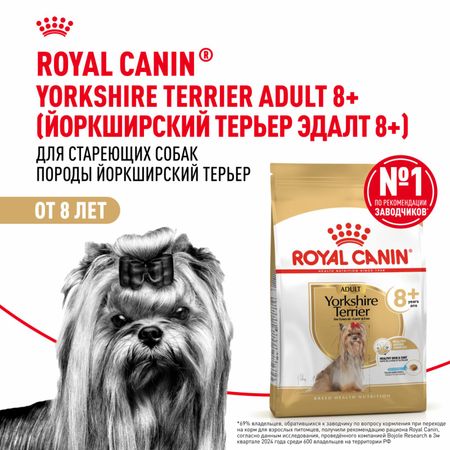 Сухие корма Royal Canin Корм сухой для стареющих собак породы Йоркширский Терьер от 8 лет, Yorkshire Terrier Adult 8+ (500 г)