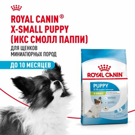 Еда Royal Canin Корм сухой для щенков очень мелких размеров до 10 месяцев, X-Small Puppy (500 г)