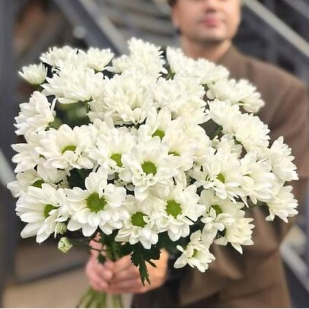 Букет живых цветов CHALET GREEN Белая Хризантема Chic, 9 шт