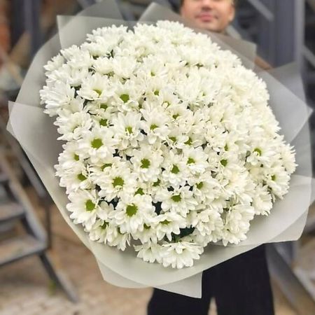 Букет живых цветов CHALET GREEN Букет белых Хризантем сорта Chic в оформлении, 21 шт