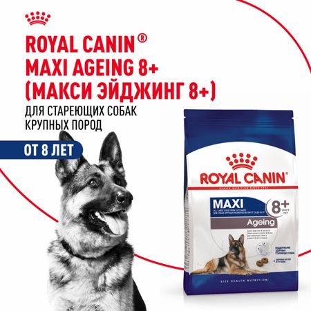 Сухие корма Royal Canin Корм сухой для стареющих собак крупных размеров от 8 лет и старше, Maxi Ageing 8+ (3 кг)