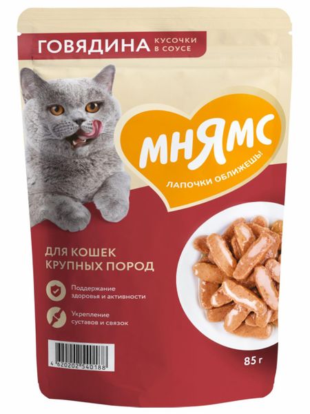 Консервы, паучи Мнямс Паучи для крупных кошек кусочки в соусе, с говядиной, 85 г х 24 шт (24 шт) елена игоревна ермоленко функциональная анатомия опорно двигательного аппарата человека