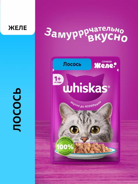 Консервы, паучи Whiskas Влажный корм для кошек, желе с лососем (75 г)