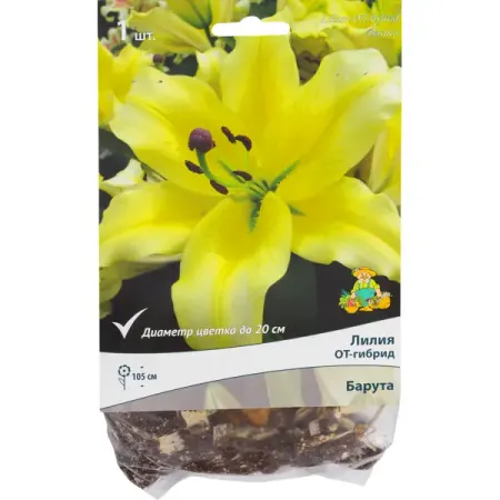 Лилии ОТ-гибриды «Барута», размер луковицы 14/16, 1 шт.