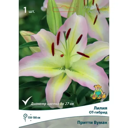 Лилия ОТ-гибрид Притти Вуман луковица 14/16