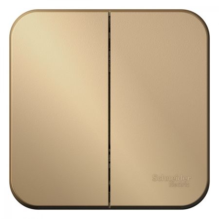 Выключатель Systeme Electric Blanca двухклавишный накладной титан (BLNVA105014)
