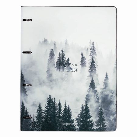 Тетрадь BRAUBERG Тетрадь на кольцах А4 VISTA Туман