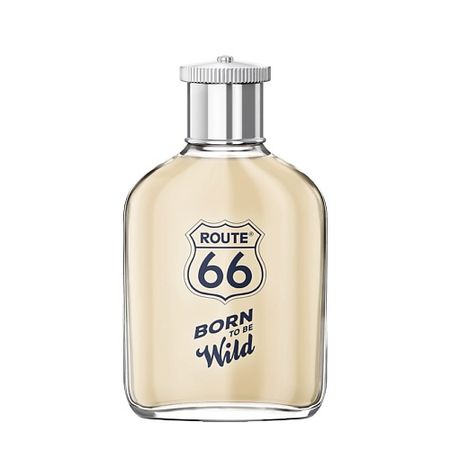 Туалетная вода ROUTE 66 Born To Be Wild wild musk туалетная 50мл уценка