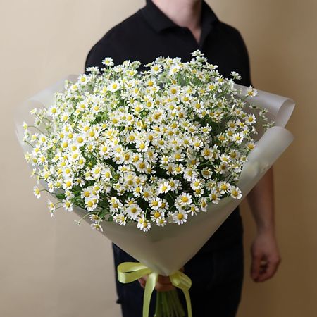 Букет живых цветов БУКЕТНЫЙ ДОМИК Букет из 15 ромашек миниатюрный домик из смолы