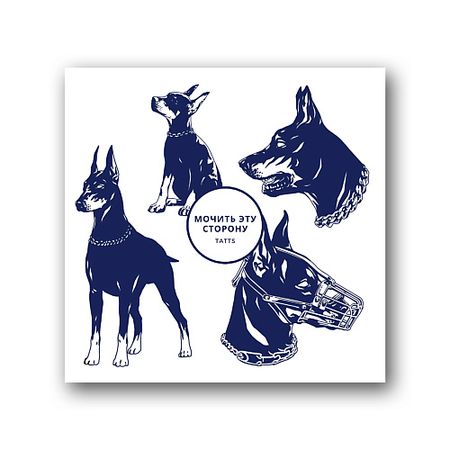 Тату TATTS Временная тату Без пленки 10*10см din рейка dori 10см