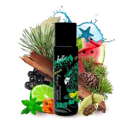 Туалетная вода PARLI Туалетная вода мужская Crush Smash парфюмированный спрей для тела sol de janeiro парфюмерный спрей для тела и волос brazilian crush bodyspray cheirosa 39