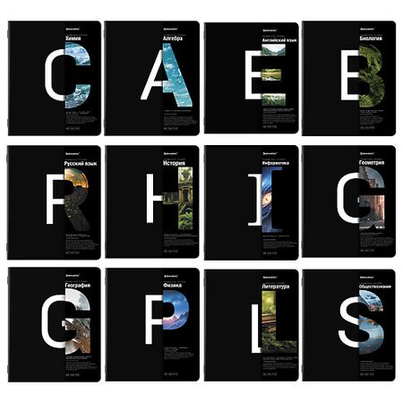 Тетрадь BRAUBERG Тетради предметные комплект INTELLIGENCE пустые стеклянные предметные стекла huiley 25x76 мм