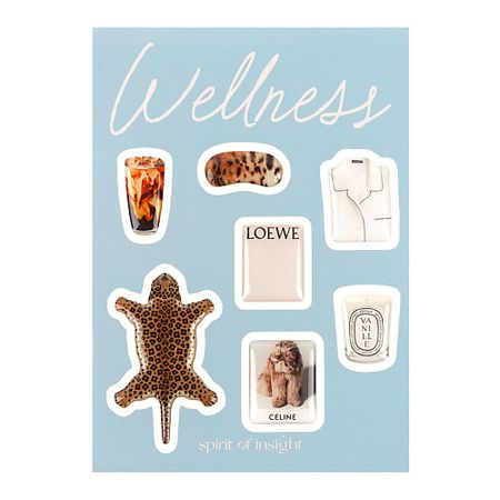 Набор наклеек SPIRIT OF INSIGHT Объемные 3D стикеры на телефон Celine