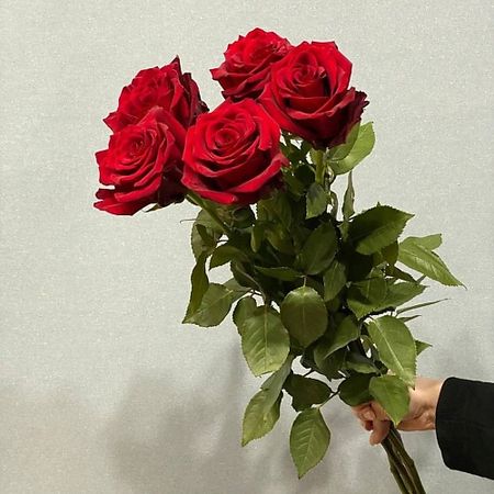 Букет живых цветов АЗАЛИЯ FLOWER PUB Роза красная Эквадор 70 сантиметров,5 штук кабошоны из смолы ywbeads из 20 штук