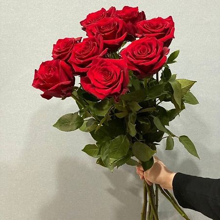 Букет живых цветов АЗАЛИЯ FLOWER PUB Роза красная Эквадор 70 сантиметров,9 штук кабошоны из смолы ywbeads из 20 штук