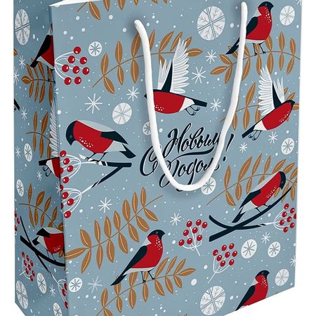 Пакет подарочный Be Smart Frost, снегири 32х49 см пакет подарочный nd play лама