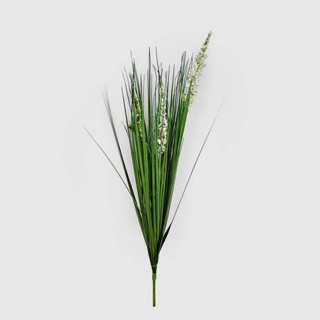 Вейник искусственный Конэко-О кремовый