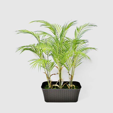 Пальма в кашпо Конэко-О высота 80 см искусственные растения мufu тропическая пальма 29 дюймов