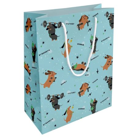 Пакет подарочный Be Smart Hobby голубой 25х32 см