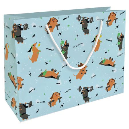 Пакет подарочный Be Smart Hobby голубой 36х26 см