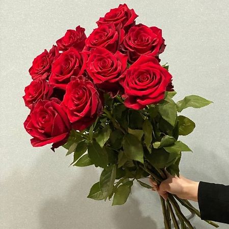 Букет живых цветов АЗАЛИЯ FLOWER PUB Роза красная Эквадор 70 сантиметров,11 штук стикеры для скрапбукинга alideco из 10 штук