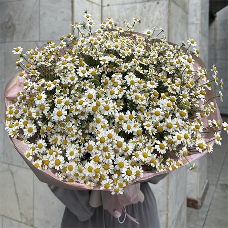 Букет живых цветов MADE KRIS Букет из танацетума 