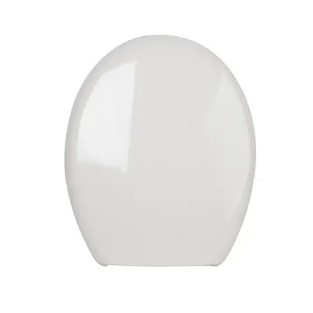 Сиденье для унитаза Iddis 161WP00 цвет белый moonbiffy подушка на сиденье унитаза