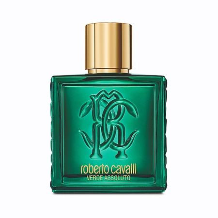 Парфюмерная вода ROBERTO CAVALLI Uomo Verde Assoluto туалетная   roberto cavalli uomo