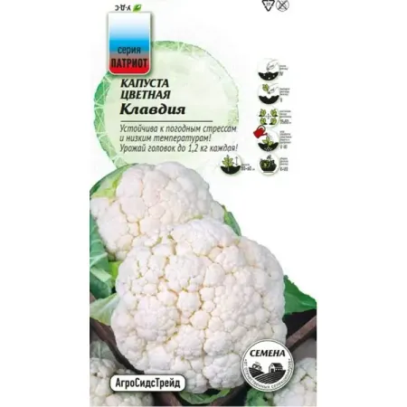 Семена овощей Агросидстрейд Патриот капуста цветная Клавдия семена seminis капуста б к аммон f1