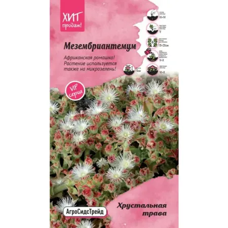 Семена цветов Агросидстрейд мезембриантемум Хрустальная трава