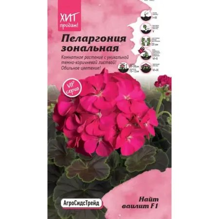 Семена цветов Агросидстрейд пеларгония зональная Найт Ваилит F1