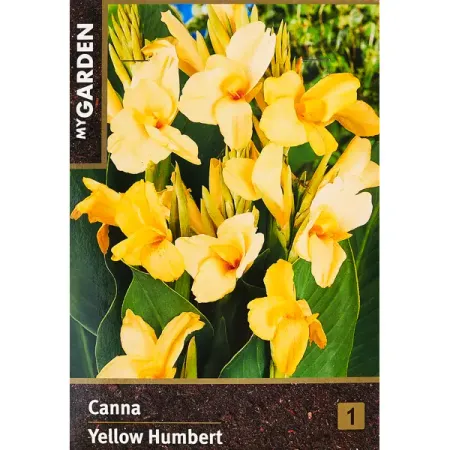 Канна Йеллоу Хамберт 100 мм фитолампа qvvcev 80led 3 головки желтого а