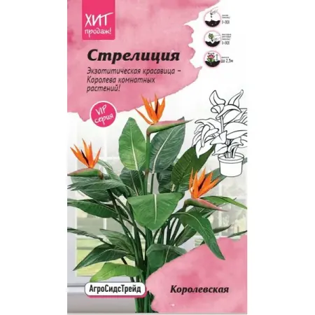 Семена цветов Агросидстрейд стрелиция Королевская 3 шт.