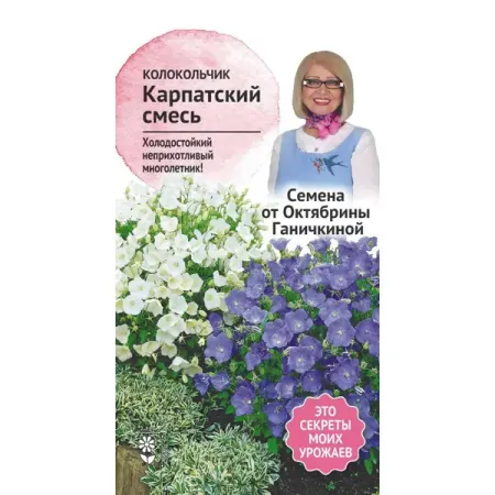 Семена цветов Семена от Октябрины Ганичкиной колокольчик Карпатский микс латунный буддийский колокольчик ваджра