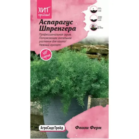 Семена цветов Агросидстрейд аспарагус Шпренгера Фаззи Ферн 5 шт.