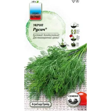 Семена зелени Агросидстрейд Патриот укроп Русич