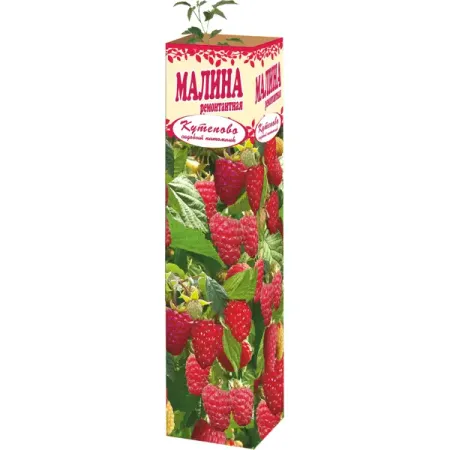 Малина ремонтантная 9x35 см