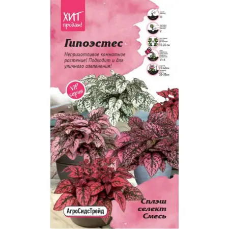 Семена цветов Агросидстрейд гипоэстес Сплэш селект микс 5 шт.
