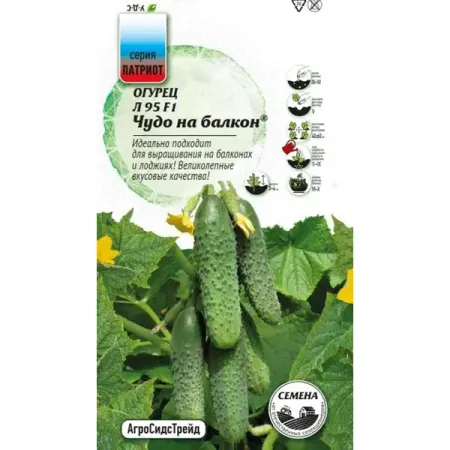 Семена овощей Агросидстрейд Патриот огурец Чудо на балкон F1