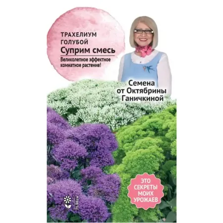 Семена цветов Семена от Октябрины Ганичкиной трахелиум Суприм голубой микс 5 шт.